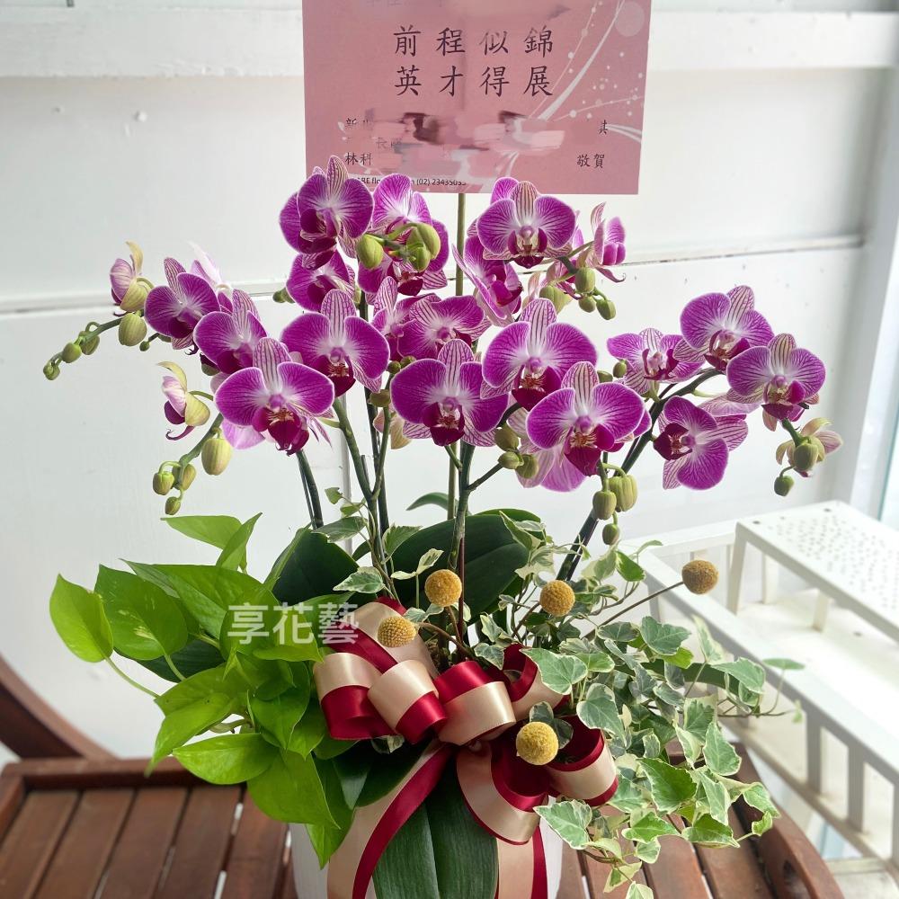 9/26 週末時光一起享花藝 附加圖