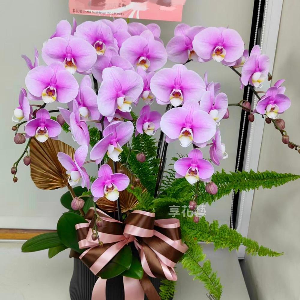 10/03享花藝|週末時光一起享花藝 附加圖