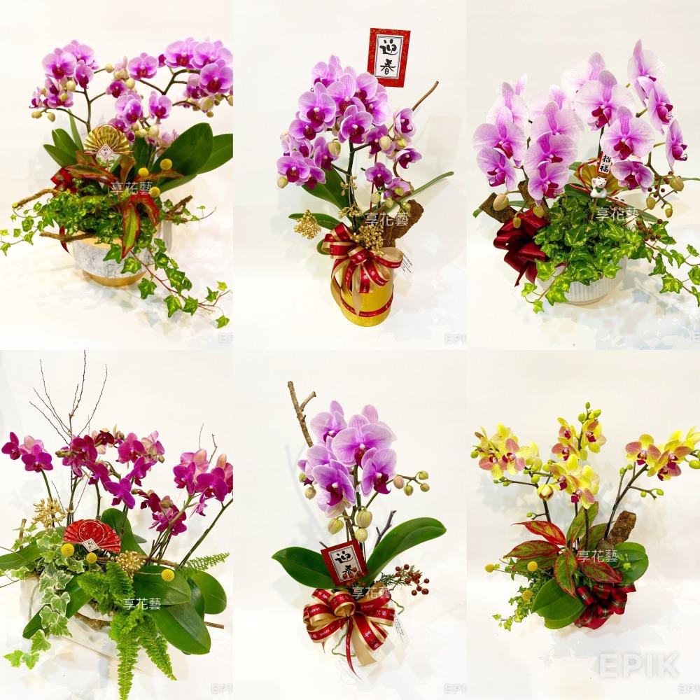 新年花禮推薦｜新春花藝設計與過年送禮指南｜享花藝花坊